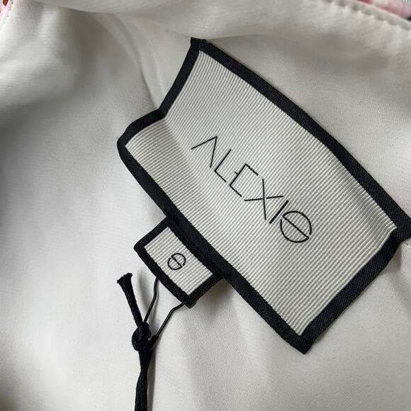 Alexis Floral Maxi Dress with Blue Accents - Picture 7 of 14